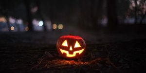 A spooky Jack-O'-Lantern emits an eerie glow in a dark forest, perfect for Halloween.
